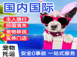 滋润机场快递国际宠物托运 【国
